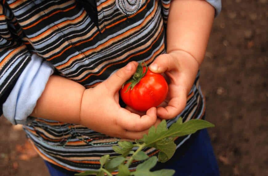 Fun Indoor Gardening Projects for Kids: Hands-On Learning and Play