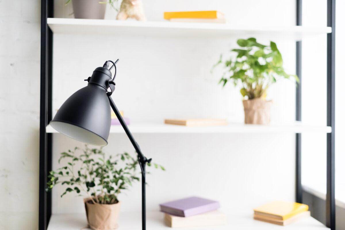 A Guide to Indoor Plant Light Requirements: Low, Medium, and High Light Levels