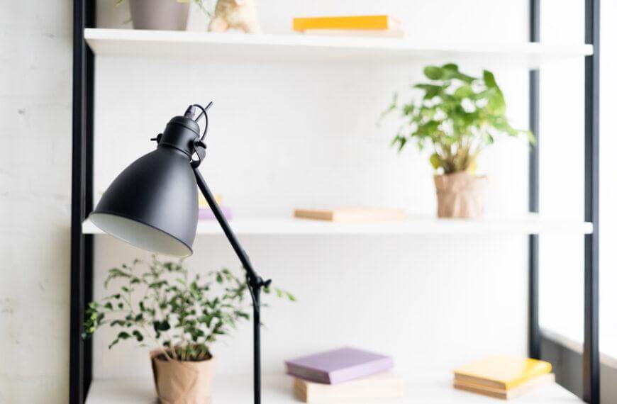A Guide to Indoor Plant Light Requirements: Low, Medium, and High Light Levels