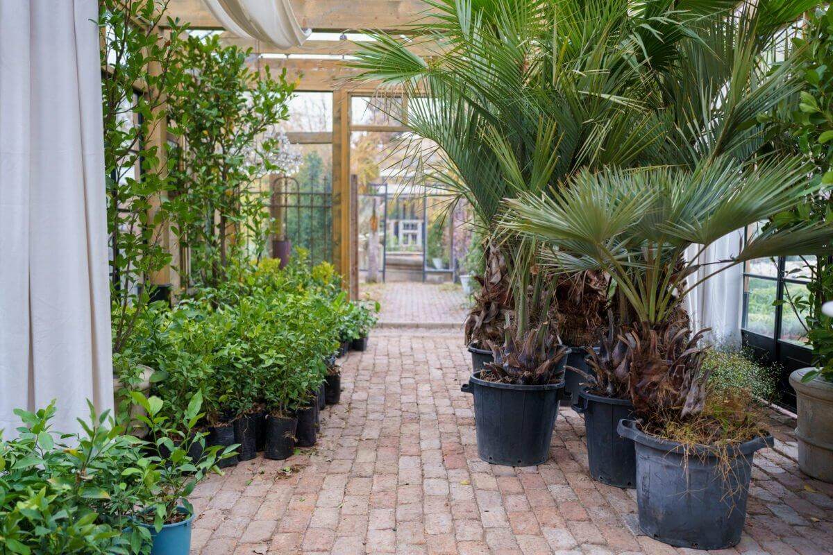 Creating an Indoor Garden Oasis: Design Ideas and Inspirations