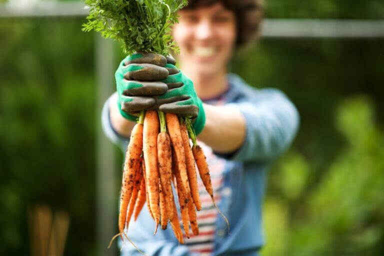 The Psychological Benefits of Indoor Gardening: Boosting Mood and Reducing Stress