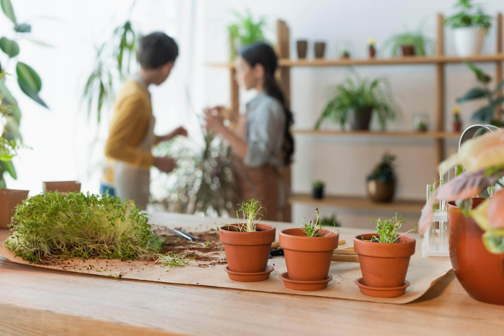 Gardening with Kids: Engaging Children in Plant Care and Growth