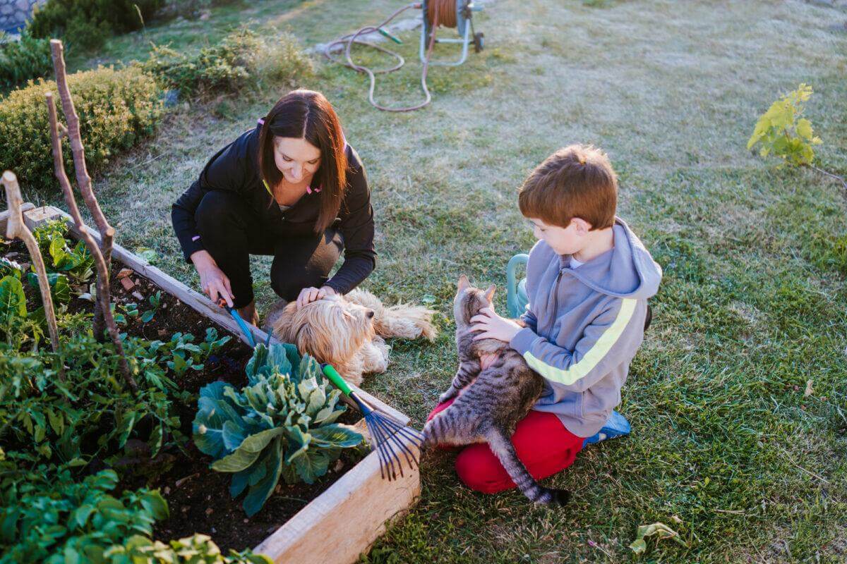 Indoor Gardening for Pet Owners: Top 21…
